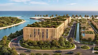 Green roofs above the lagoon